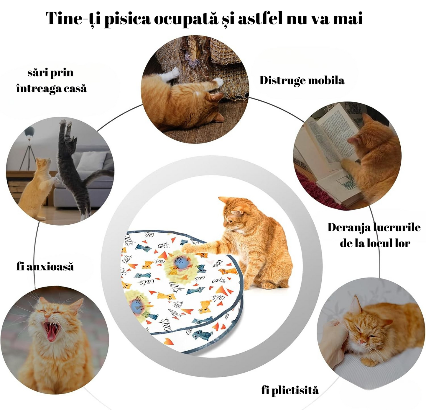 Jucărie interactivă 2 în 1 pentru pisici de interior, cu minge smart și covoraș de vânătoare 70 cm. Type-C, 2 moduri de joacă, ideală împotriva plictiselii.